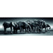 High Quality Herd of Giants Panorama puzzle 1000pcs-0