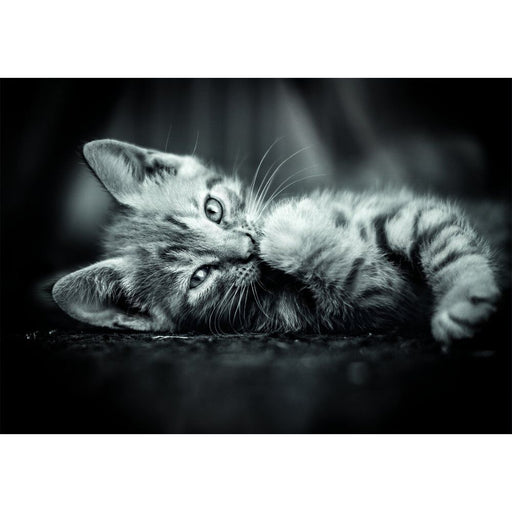 High Quality Kitty puzzle 1000pcs-1