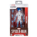 Marvel Legends Spider-Man Gameverse Spirit Spider figure 15cm-1