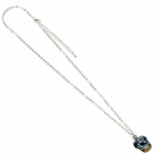 Harry Potter Ravenclaw necklace-1