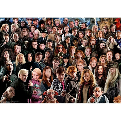 Harry Potter puzzle 1000pcs-1