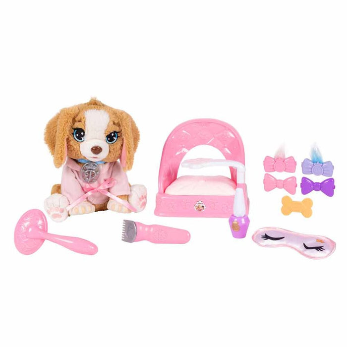 Spa Beauty for animals-2