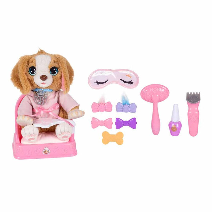 Spa Beauty for animals-3