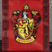 Harry Potter Gryffindor premium beach bag-3