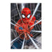 Marvel Spiderman poster-1