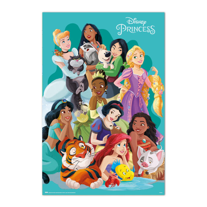 Disney Princess poster-1