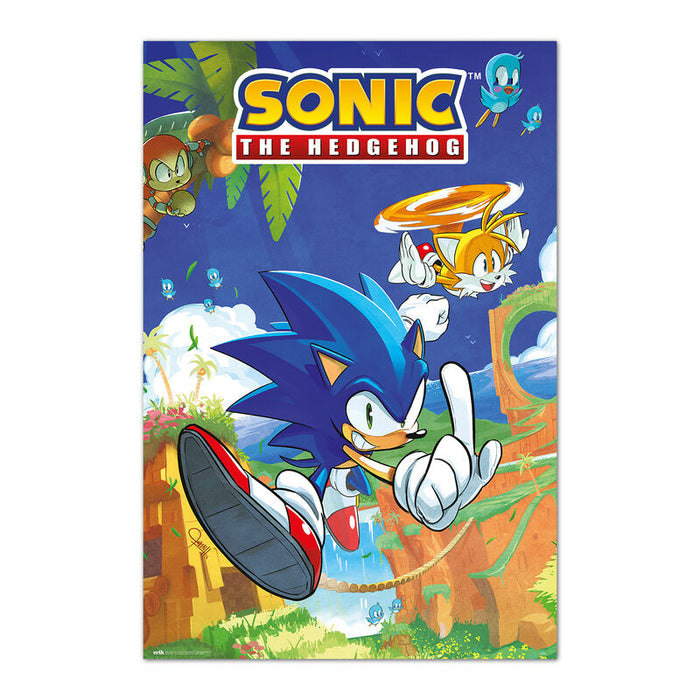 Sonic The Hedgehog Sonic & Tails poster-1