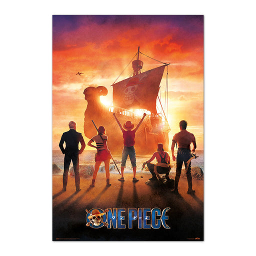 One Piece poster-1