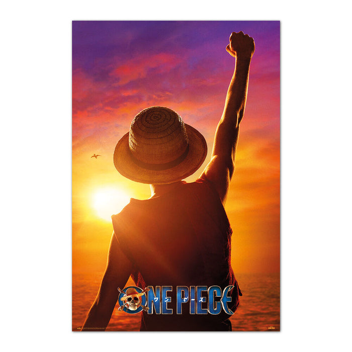 One Piece Monkey D. Luffy poster-1