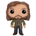 POP figure Harry Potter Sirius Black-2