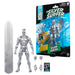 Marvel Legends Series The Silver Surfer - Silver Surfer figure 15cm-11