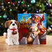 Spanish Elf Pets Story + plush toy Bernard dog set-2