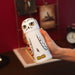 Harry Potter Hedwig 3D pencil case-7