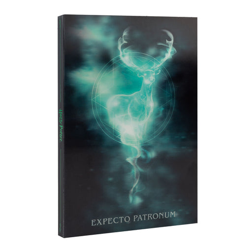 Harry Potter A5 Lenticular notebook-1