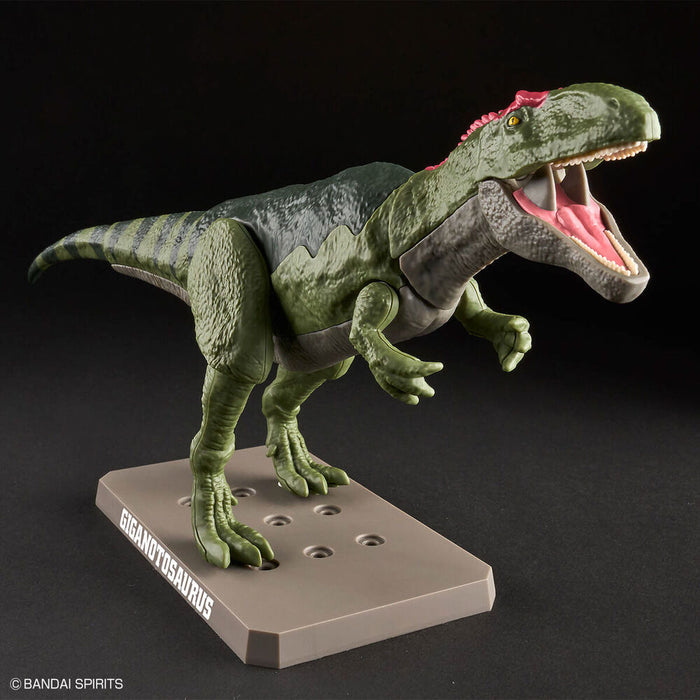 Model Kit Plannosaurus Giganotosaurus-2