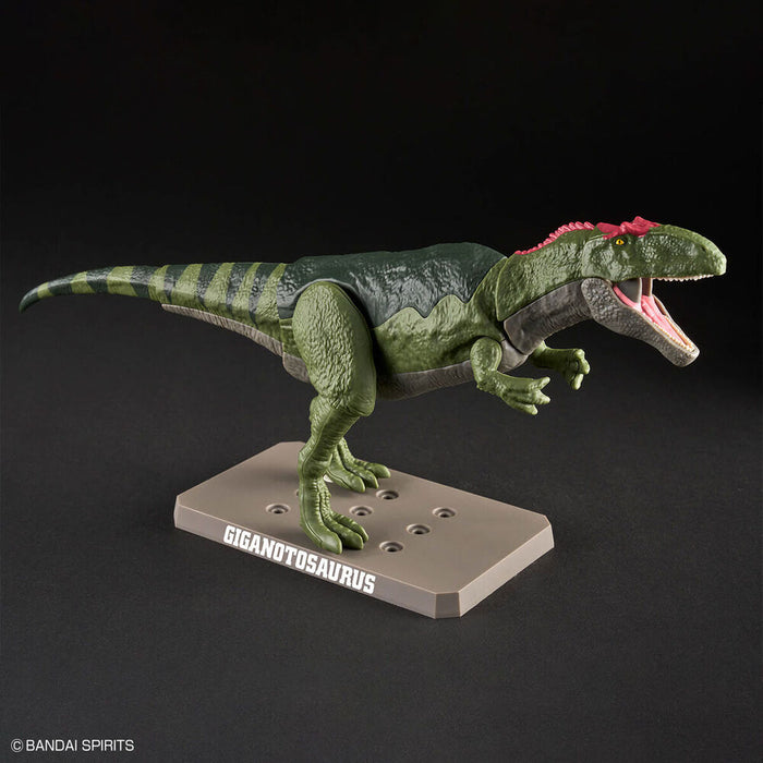 Model Kit Plannosaurus Giganotosaurus-4