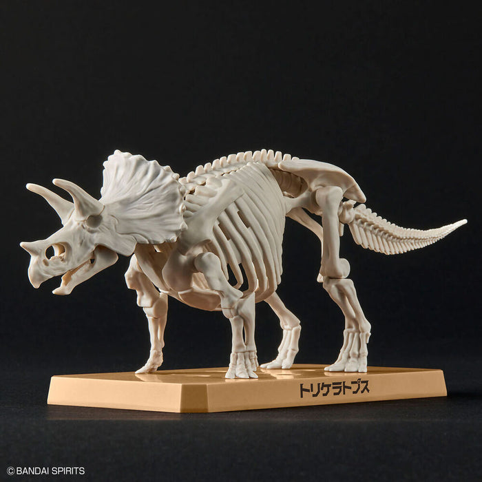 Model Kit Plannosaurus Triceratops-5