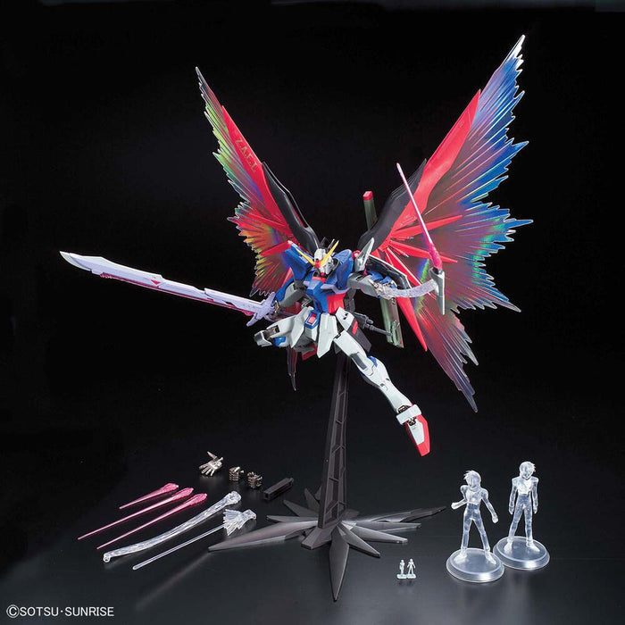 Model Kit MG 1/100 Destiny Gundam Special Edition-4
