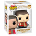 Bitty POP! pack 2 Sanrio Harry Potter Hermione & Krum-2