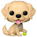 POP figure Pets Golden Retriever-1