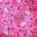 Hello Kitty Strawberry plush bag-4