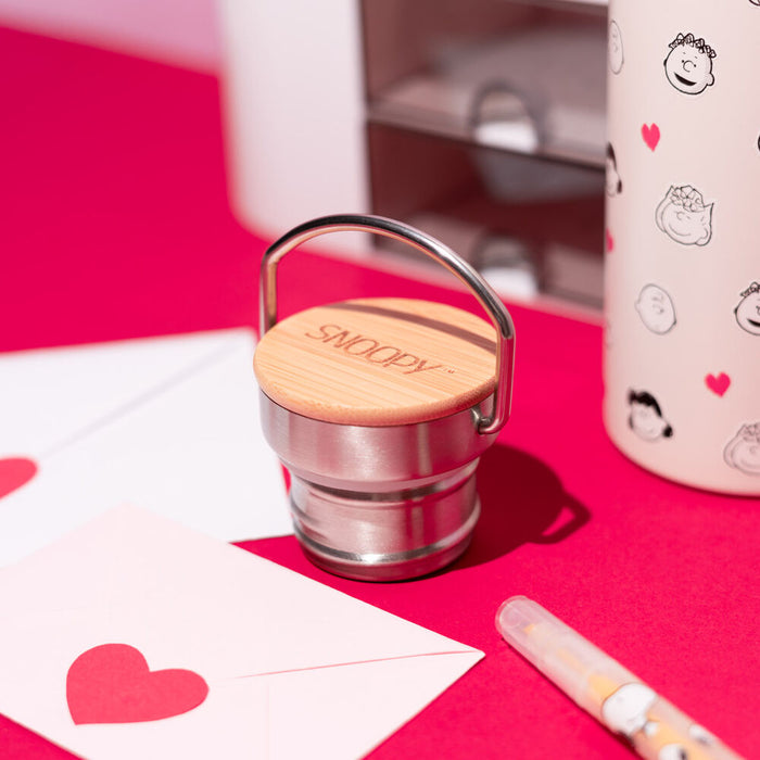 Peanuts Snoopy Stainless steel bottle 500ml-3