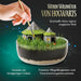 Harry Potter Terrarium-2