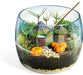 Harry Potter Terrarium-5