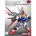 Mobile Suit Gundam Seed Aile Strike Gundam Seed model kit-1