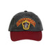 Harry Potter Gryffindor cap-1