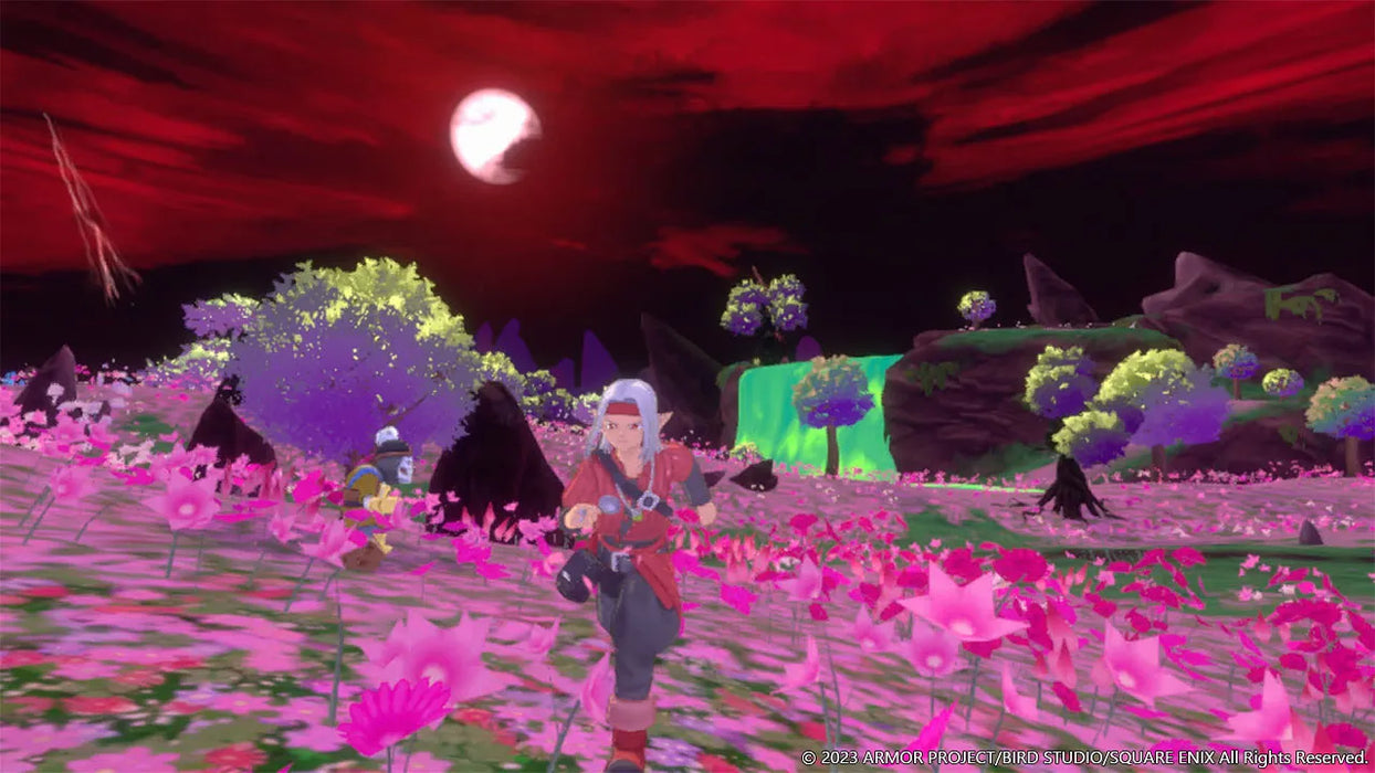 Dragon Quest Monsters: Il Principe oscuro (USATO) - Switch (RESTART)