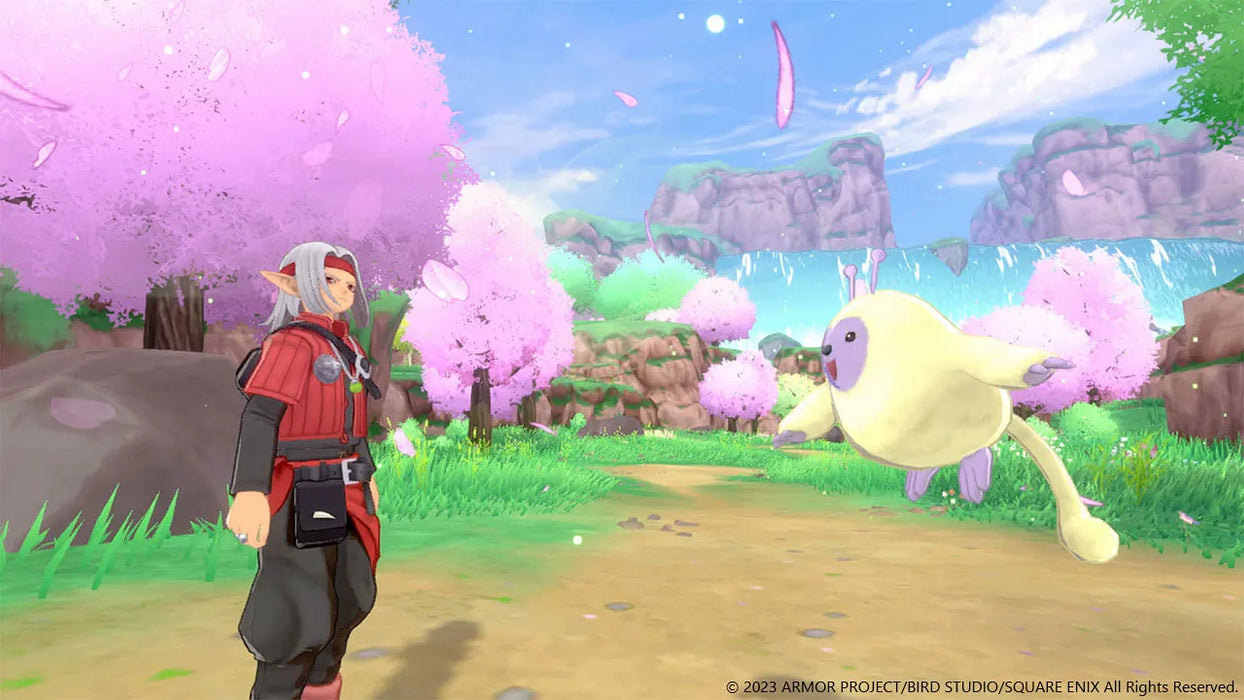 Dragon Quest Monsters: Il Principe oscuro (USATO) - Switch (RESTART)
