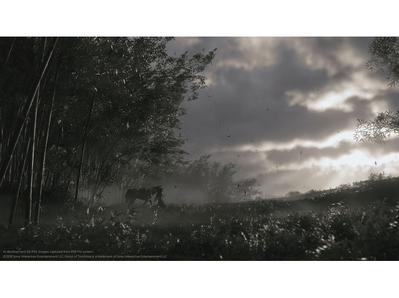 Ghost of Tsushima - PS4