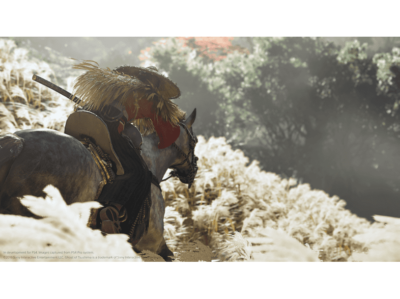 Ghost of Tsushima - PS4